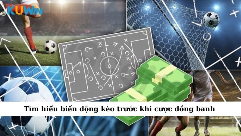Tìm hiểu biến động kèo trước khi cược đồng banh