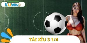 Tài Xỉu 3 1/4